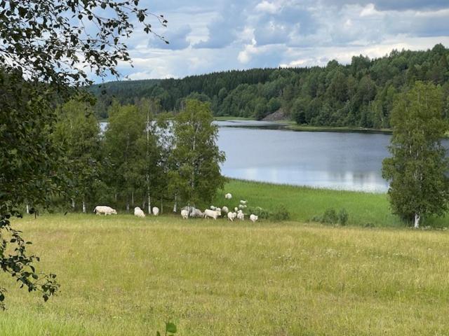 Villa Annies Hus à Årjäng Extérieur photo